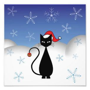 Foto Gato do Natal com flocos de neve