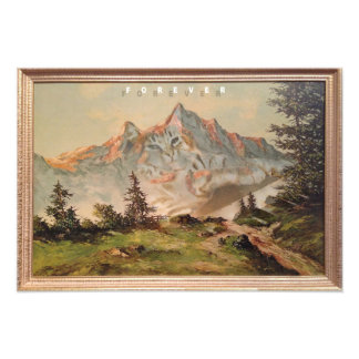 Foto Gato do teclado para sempre