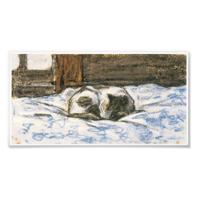 Foto Gato dormindo na cama de Claude Monet (Frente)