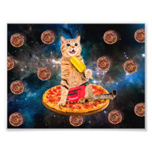 Foto Gato em pizza comendo gelo