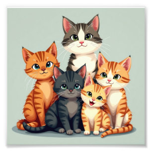 Foto Gato engraçado