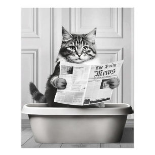 Foto Gato está sentado no vaso sanitário, gato lendo no