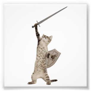 Foto Gato heróico do cavaleiro do guerreiro