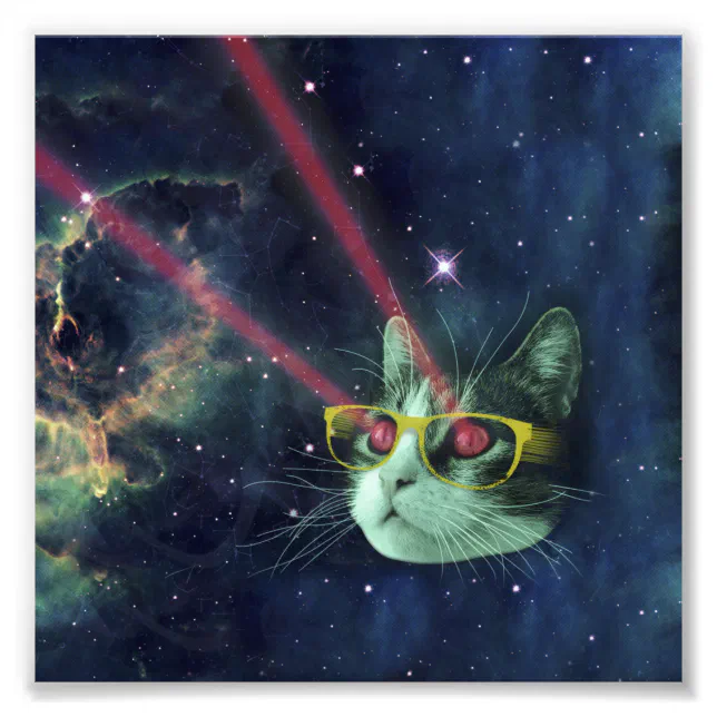 Um gato de olhos azuis está sentado em um espaço galáctico.