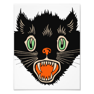 Foto Gato Negro Assustado Do Dia Das Bruxas