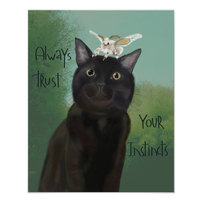 Foto Gato Negro e Rota-Seda (Frente)