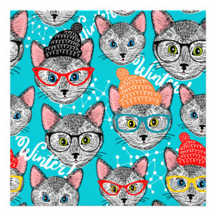 Foto Gato no chapéu