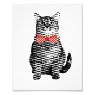 Foto Gato Preto com Vintage Torta de Arco Vermelho