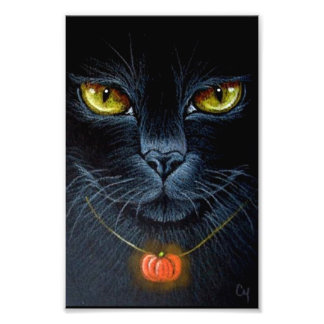 FOTO GATO PRETO DE HALLOWEEN COM PENDENTE DE ABÓBORA 10