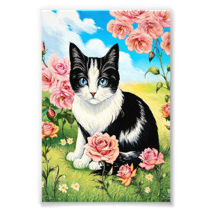 Foto Gato Preto e Branco em um Prado Floral