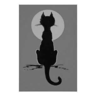 Foto Gato Preto e Preto Branco Monocromático, Lua Chei