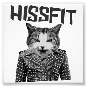 Foto Gato rebelde do gatinho do desajuste de Hissfit