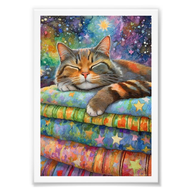 Foto Gato Tartaruga Noite Estrelada (Frente)