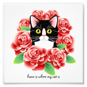 Foto Gato Tuxedo Rosas Impressão "lar é onde meu gato e