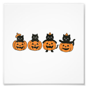 Foto Gato Vintage dos Anos 90 Halloween Abóbora Gato Pr