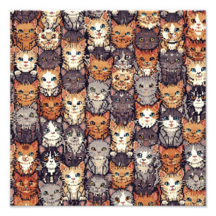 Foto Gatos Coloridos Digitalizados