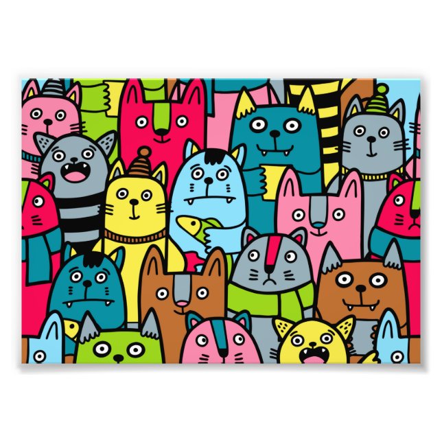 Foto Gatos e gatinhos (Frente)