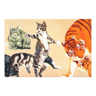 Foto Gatos indo jogar