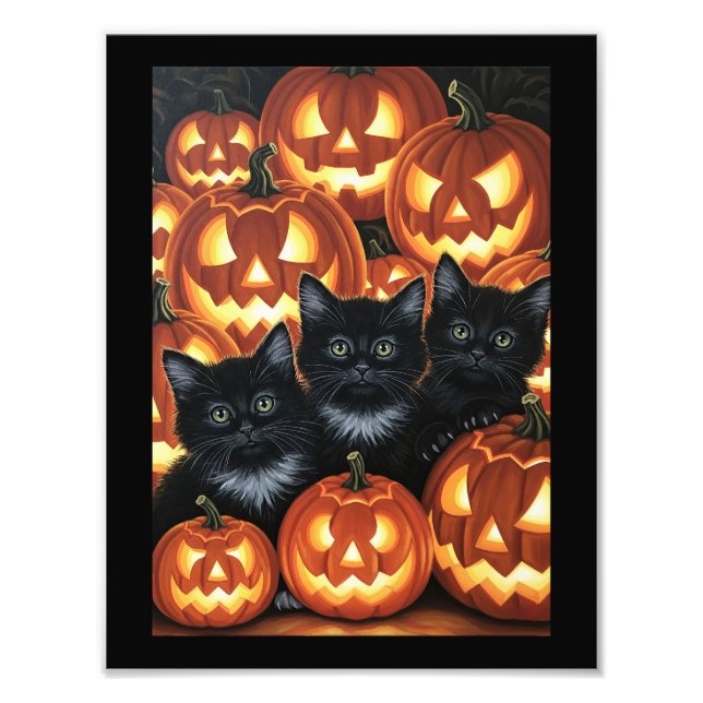 Foto Gatos Pretos e Jack O’Lanternas (Frente)