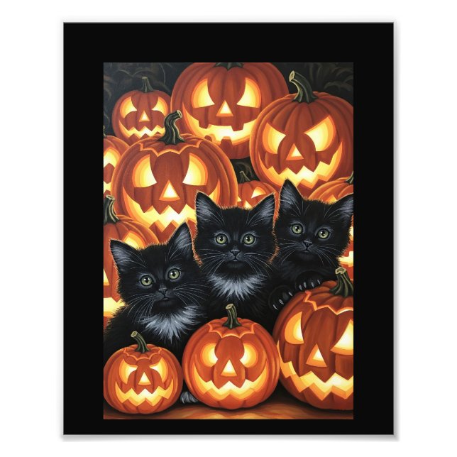 Foto Gatos Pretos e Jack O’Lanternas (Frente)