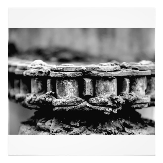 Foto Geared  (Frente)