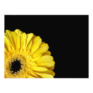 Foto Gerbera Flower