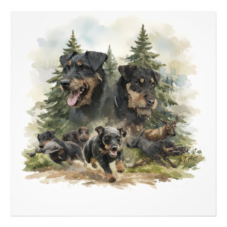 Foto German Jagdterriers