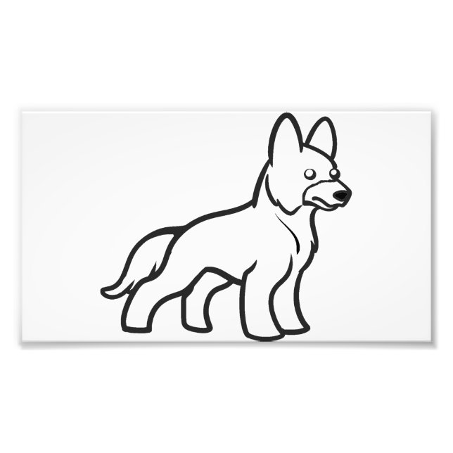 Foto german shepherd branco (Frente)