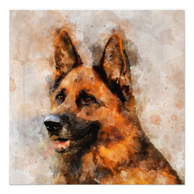 Foto German shepherd Cachorro - Retrato de Aquarela 04 (Frente)