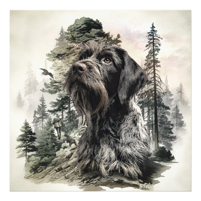 Foto German Wirehaired Pointer (Frente)