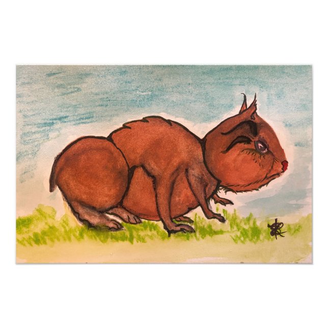 Foto Glabelhammie (Frente)