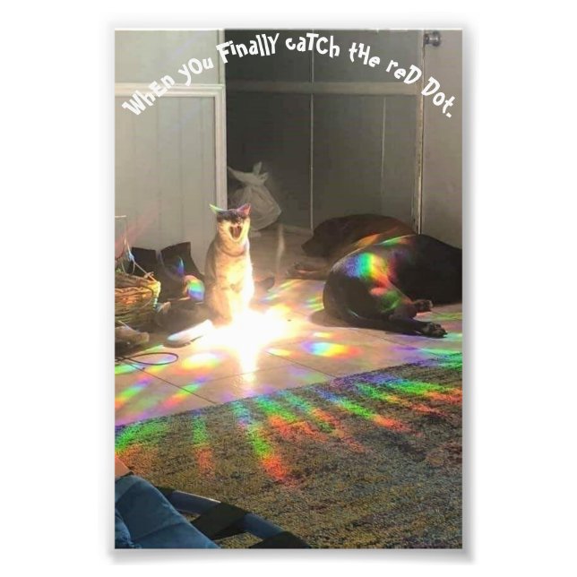 Foto Glória (Frente)