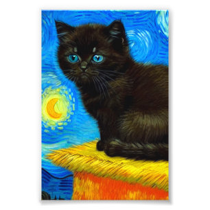 Foto Gogh Style Starry Night Cat