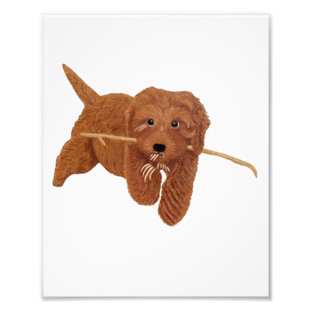 Foto golden (Frente)