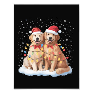 Foto Golden Retriever Natal Chapéu do Papai Noel Rena