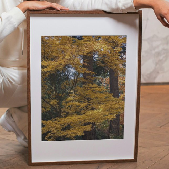 Foto Golden Yellow Japanese Maple Leaves Botanical (In Situ (Framed))
