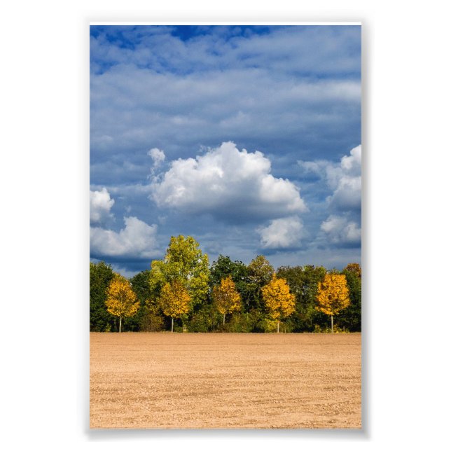 Foto Goldener Herbst (Frente)