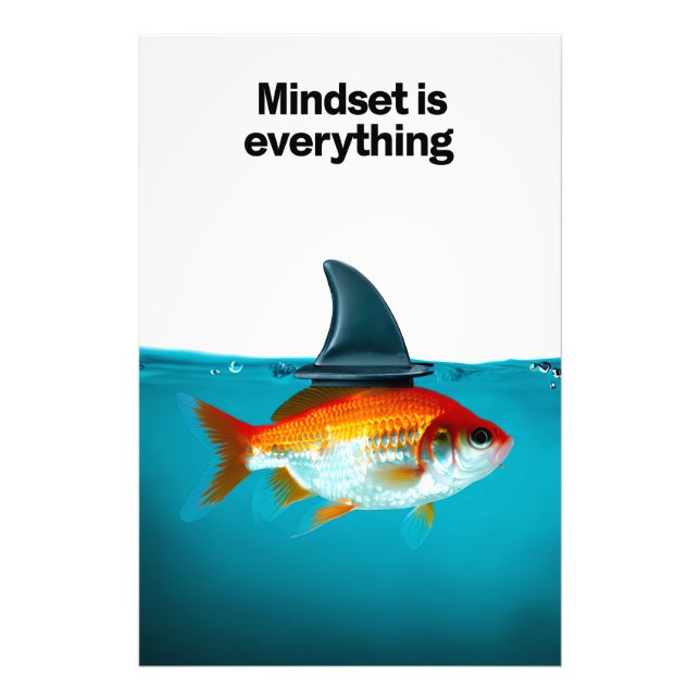 Foto Goldfish with Shark Fin (Frente)