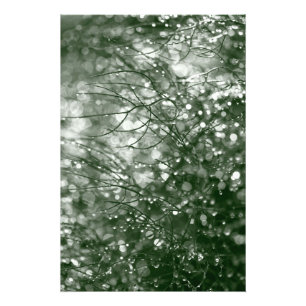 Foto Gotas de chuva