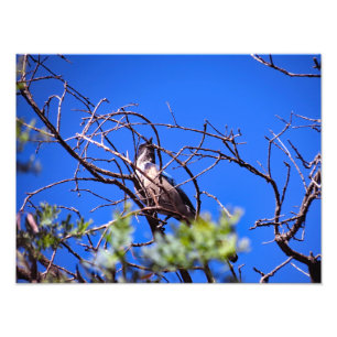 Foto Gould Mesa Trail, CA