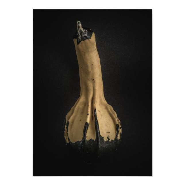 Foto Gourd Versão 5 Colorido (Frente)