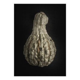 Foto Gourd Versão 8 Colorido