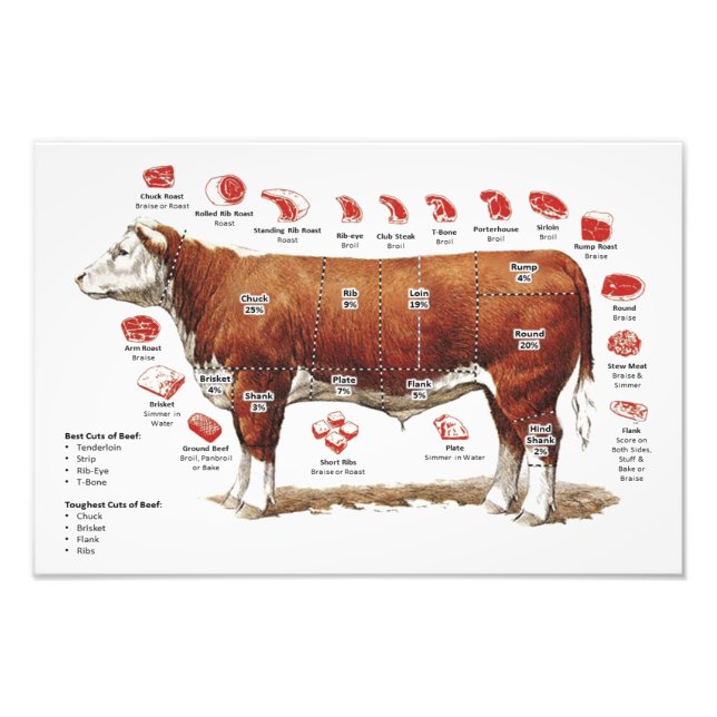 Foto Gráfico de cortes de carne (Frente)