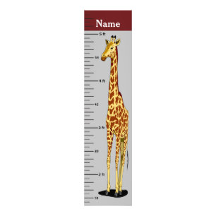 Foto Gráfico de Crescimento da Girafa de Pescoço Longo