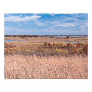 Foto gramíneas prairie e zonas úmidas do necedah
