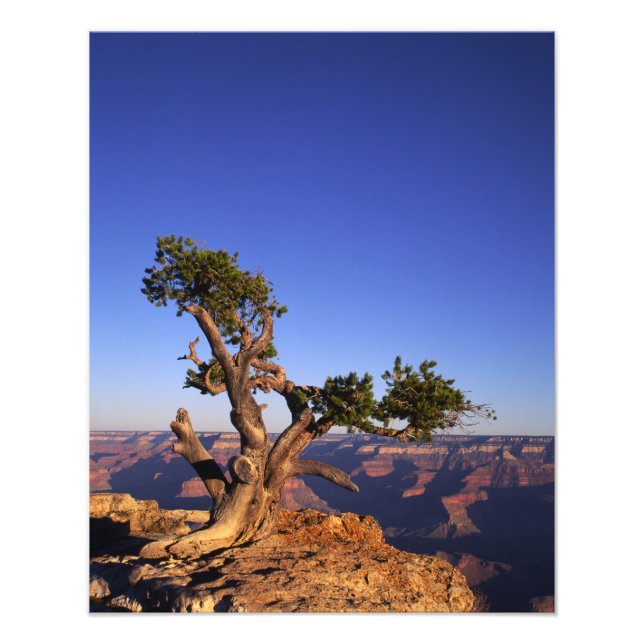 Foto Grande Canyon, Arizona, EUA (Frente)