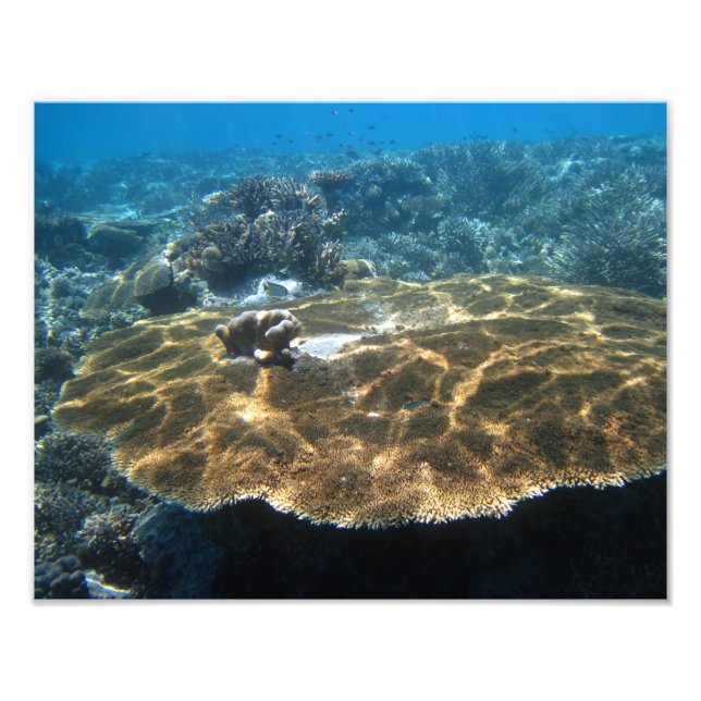 Foto Grande Corral (Frente)