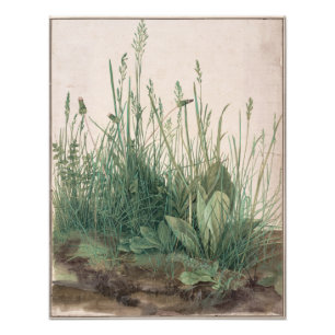 Foto Grande peça de Turf por Albrecht Durer
