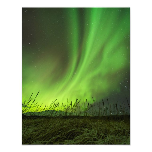 Foto Grasslands Aurora (Frente)