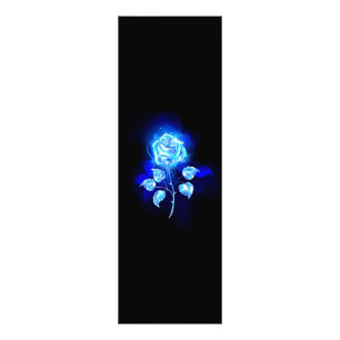 Foto Gravação de Rosa Azul